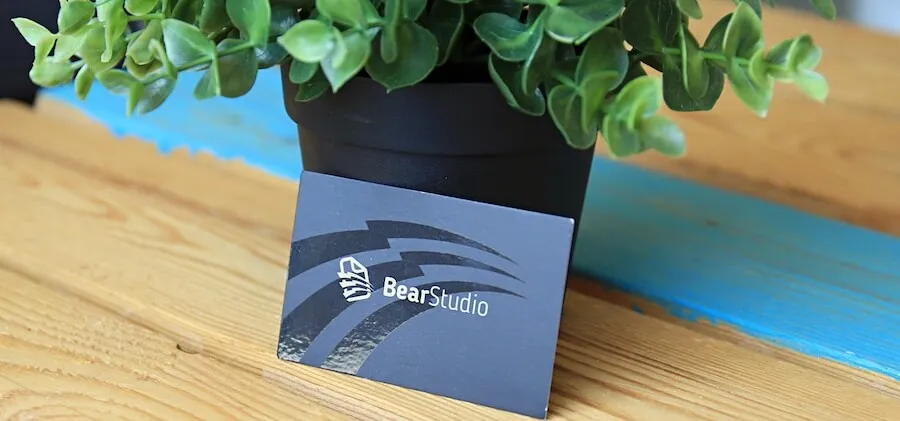 Carte de visite du BearStudio
